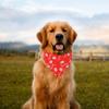 Valentine's Day Pet Clothing Love Pet Water Scarf Dog  Scarf Pet Accessories Dog Scarf