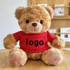 Teddy Bear Plush Toy with Cute Logo and School Emblem Design
