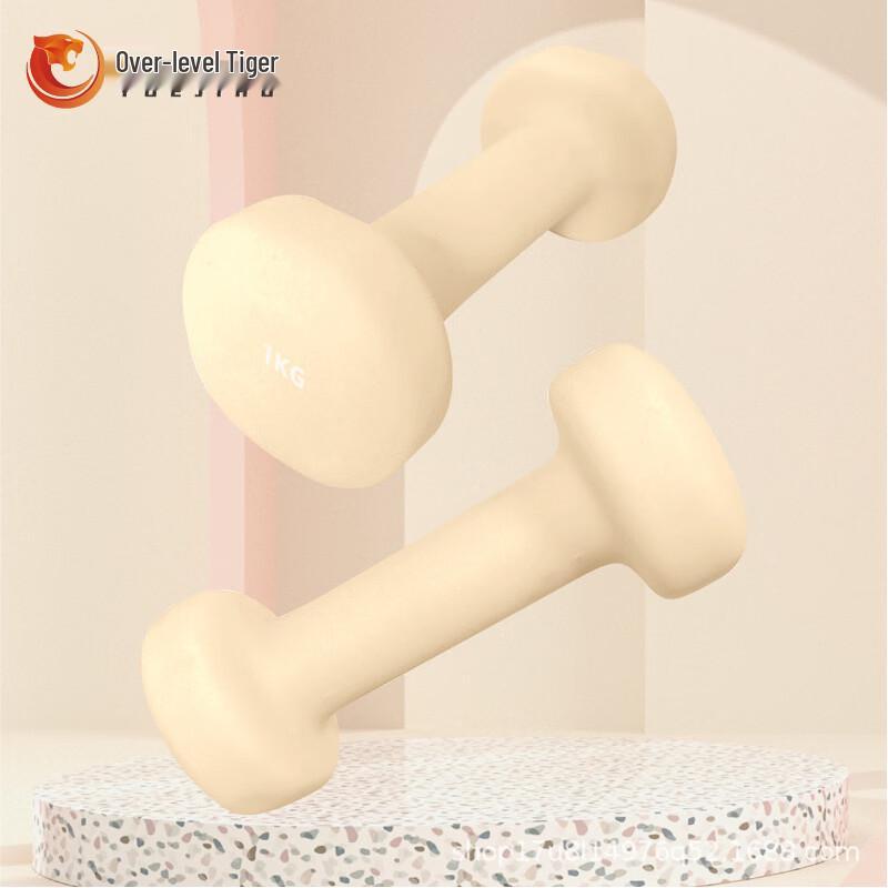 Yuejihhu Dip-Coated Cast Iron Dumbbell