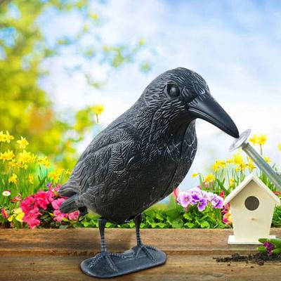 Black Life Size Crow Repellent Crow Decoration Outdoor Weed Pest Decoy  Courtyard Garden