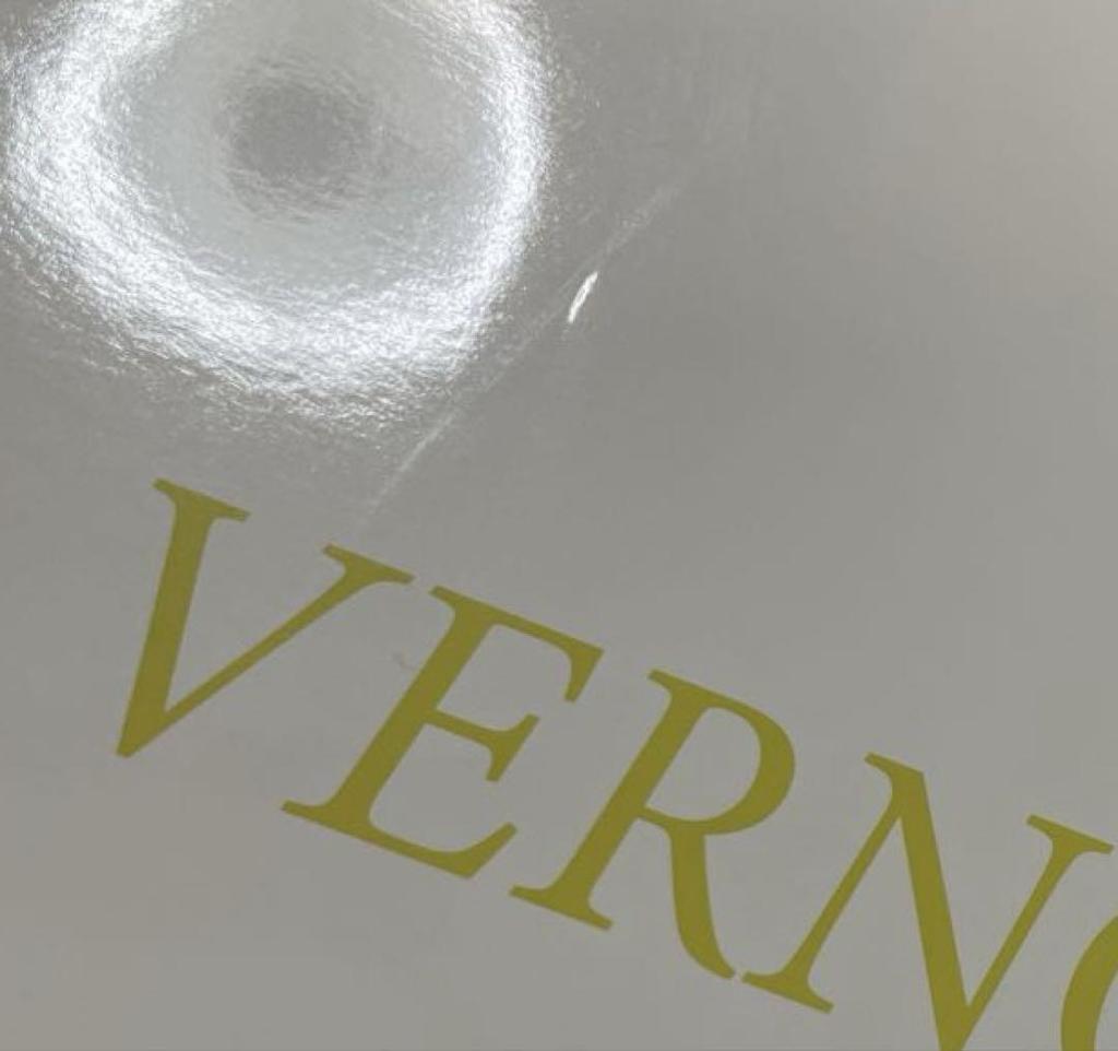 [USED] SEVENTEEN follow again Vernon