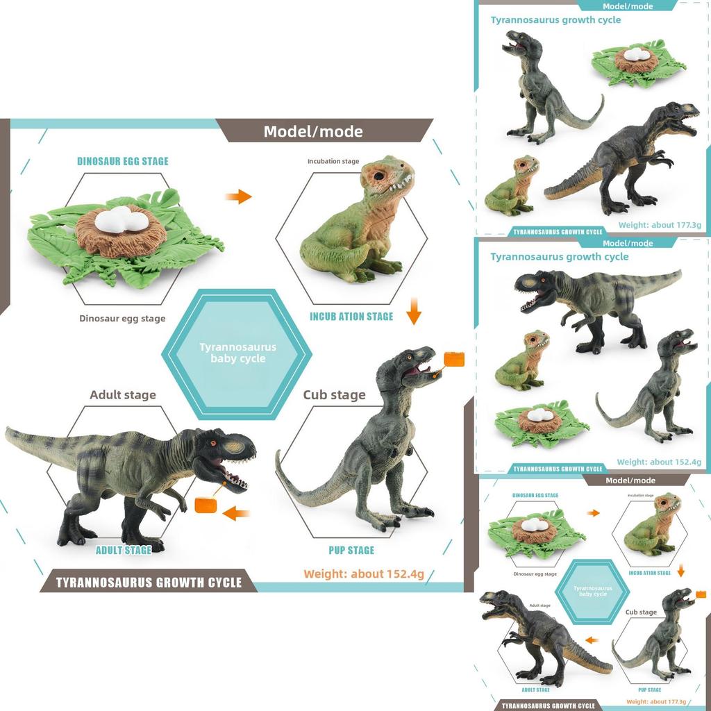 Jurassic Pterosaur T Rex Growth Cycle Model Pvc Educational Toy For Kids Science Learning