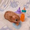 5-Inch Silicone Reborn Hamster Doll with Implanted Hair - Cute Miniature Animal in Blue Sea Theme