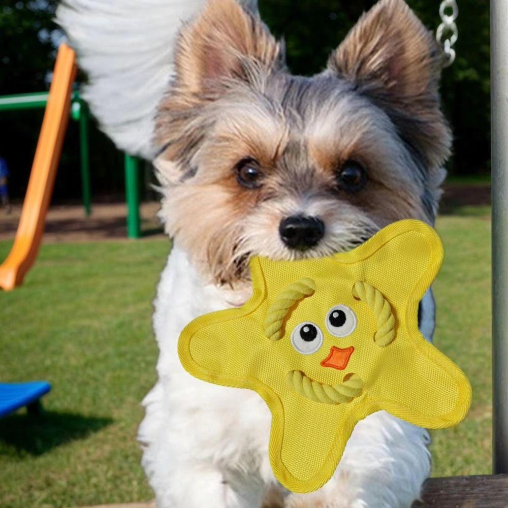 Bite Resistant Interactive Dog Throw Toy Squeak Sound Pet Teeth Cleaning Toy Puppies Use