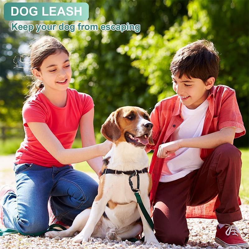 1/2/4/6/10Pcs Aluminum D-Ring Carabiner Travel Kit Camping Equipment Aluminum Hanging Hook Buckle Keychain for Outdoor Camping Hiking(Black/Grey)