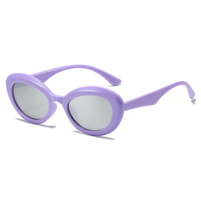 Winter Oval Sunglasses, Retro Simple Round Glasses, Personalized Versatile Y2K Sunglasses