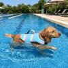 Verstellbare Hunde-Schwimmweste Hoher Auftrieb Hunde-Schwimmkleidung Hundebadeanzug Hunde-Sicherheitswesten Strand