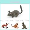 Realistisches Plastik-Waldtier-Figuren-Set Inklusive Rotfuchs Känguru Stinktier Und Mehr