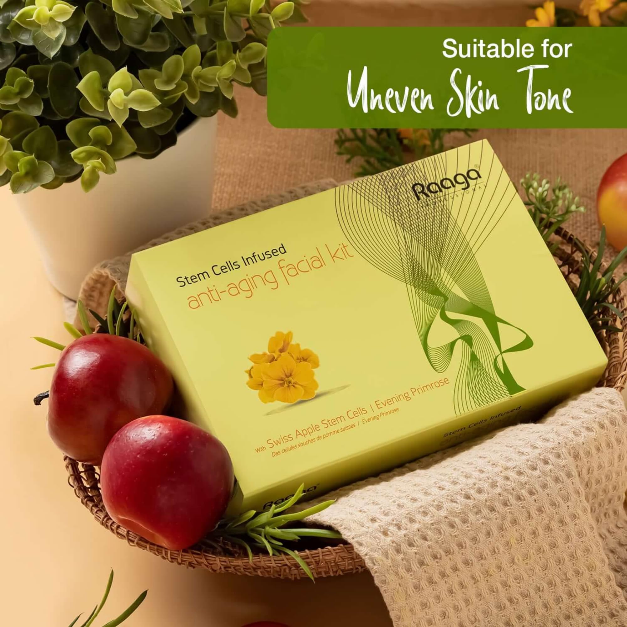Raaga Professional Stem Cells Cream Infused Anti Aging Facial Kit | Evening Primrose, Swiss Apple Stem Cells | Fights Acne | 6 Step Facial Kit For A