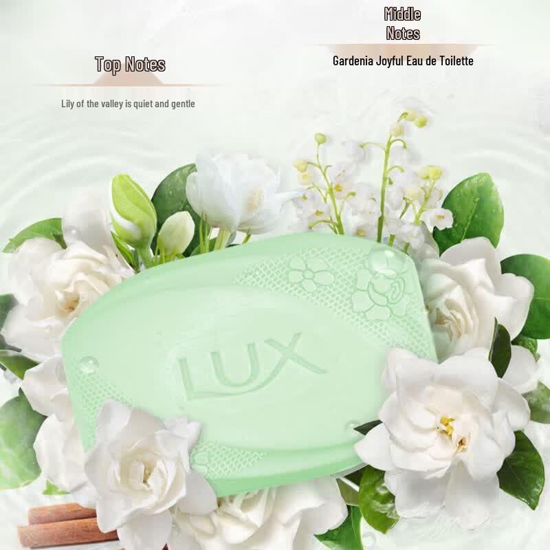 Lux Detox & Antibacterial Silky Moisturizing Soap 100g