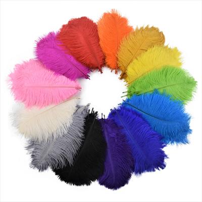10pcs /Lot 15 -20cm Ostrich Feathers Holiday Decorations Jewelry Creation Colorful Plumes Carnival Feathers Handicraft Accessories 