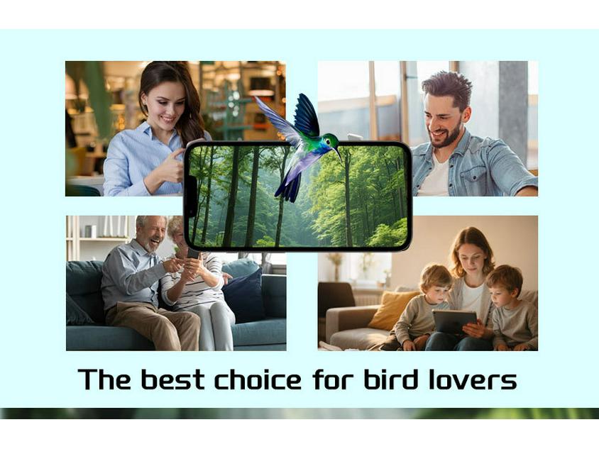 Smart Outdoor Solar Bird Feeder with Camera for Hummingbirds