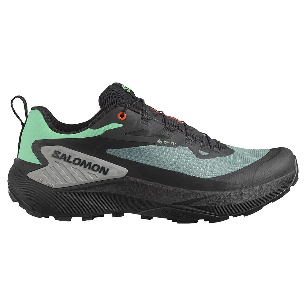 

Salomon Кроссовки для трейлраннинга Genesis Goretex 42