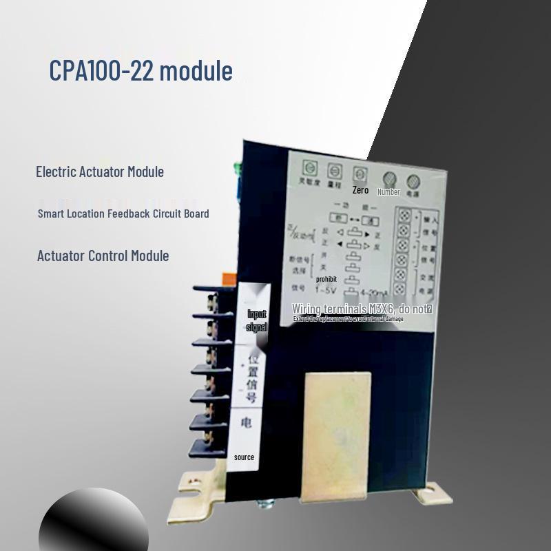 CPA100/101-220 Electronic Control Board Module