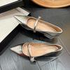 Retro Silver Thick Heel French Mary Jane Shoes 2025 Spring and Autumn New One-word Pointed High Heels Single Shoes Women