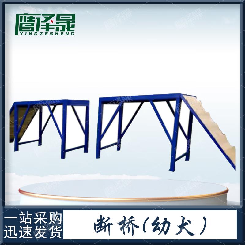 Professional Outdoor Dog Training Agility Equipment