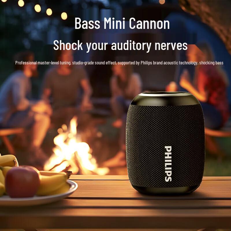 Philips Portable Bluetooth Karaoke Speaker CN plug (adapter included)