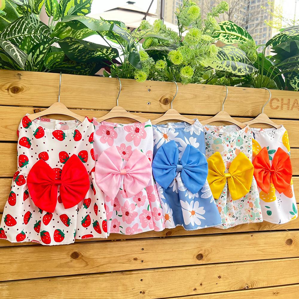 Spring/Summer Dog Skirt Cat Pet Clothing Teddy Dou Bi Bear Cat Supplies Dog Clothing Clothing