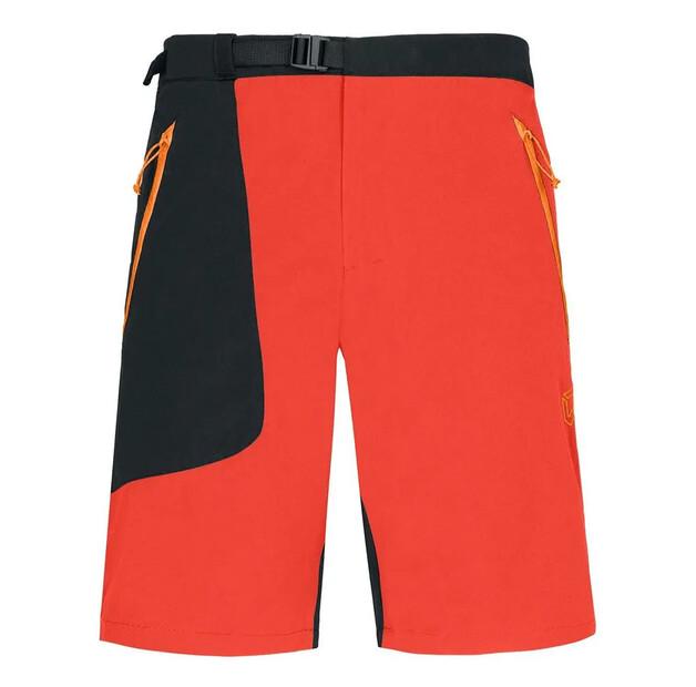 Rock Experience Шорты Half Dollar