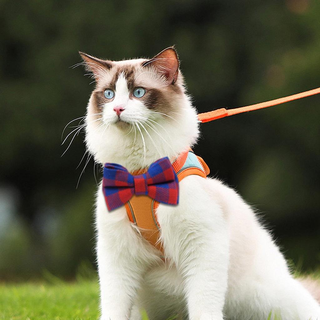 Pet Collar Bow English Collar Cat Strap  Cat Head Safety Socket Cat Dog Collar With Bow And Bell For Dogs  Cats And Rabbits