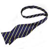 Bowtie Set for Men Blue Striped Self-tied Bowtie with Tassel Brooch Pin Tie Hanky Cufflinks Dibangu