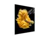 GLASS CUTTING BOARD 45x52 Fish