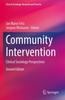 The Community Intervention : Clinical Sociology Perspectives Book