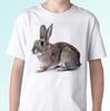 Grey Rabbit White Kids Boys T-Shirt Bunny Tee Top Hare Design S S Kids Baby Sizes