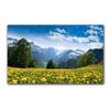 Pittura su Tela Montagna Verde Paesaggio Scenari Naturali Foresta Raggi di Sole Poster Stampa Arte da Parete Immagine Soggiorno Decorazione Casa