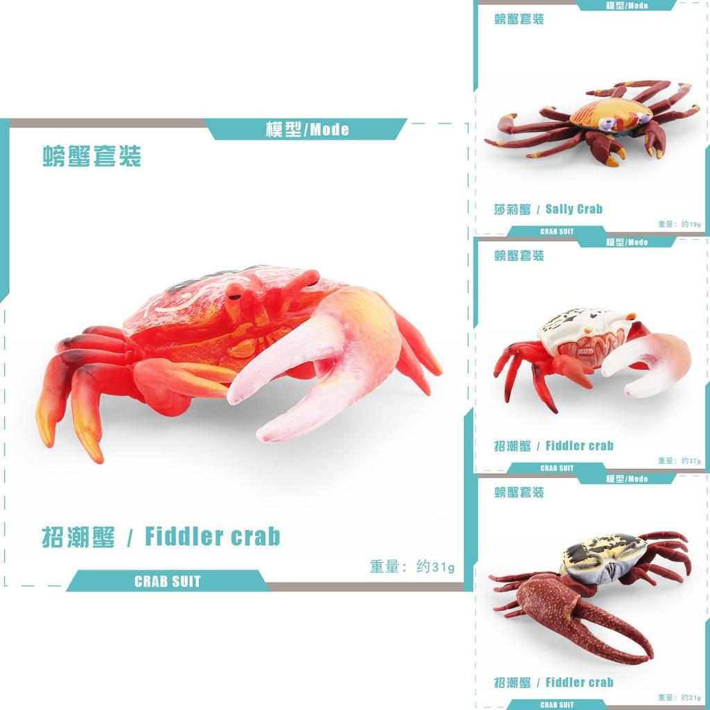 Vividly Colored Pvc Crab Model Featuring Realistic Design Perfect For Collectors And Decor Home