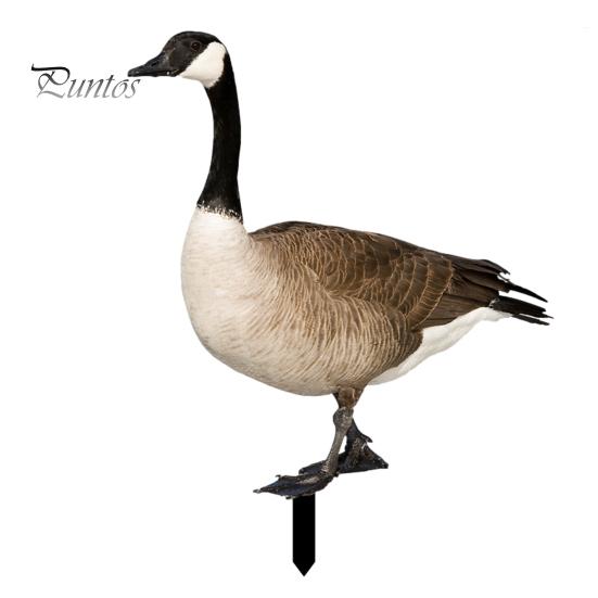 Arte da Giardino Realistico Palo Animale in Acrilico, Pollo Oca Uccello Piatto 2D Palo da Giardino Resistente alle Intemperie Segno Coniglio per Sentiero, Patio, Prato Esterno