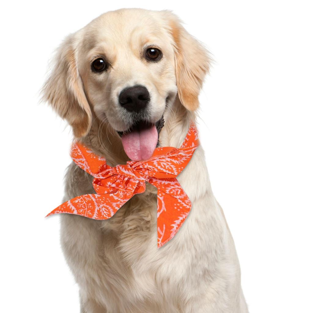Instant  Bandana Ice Towel Pet Collar Summer Scarf For Small And Medium Dogs