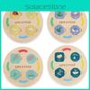 Wooden Child Educational Lifecycle Puzzle With Growth Cycle Design For Kindergarten Learning