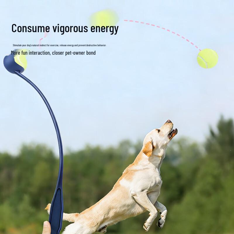 Dog Interactive Fetch Toy Set