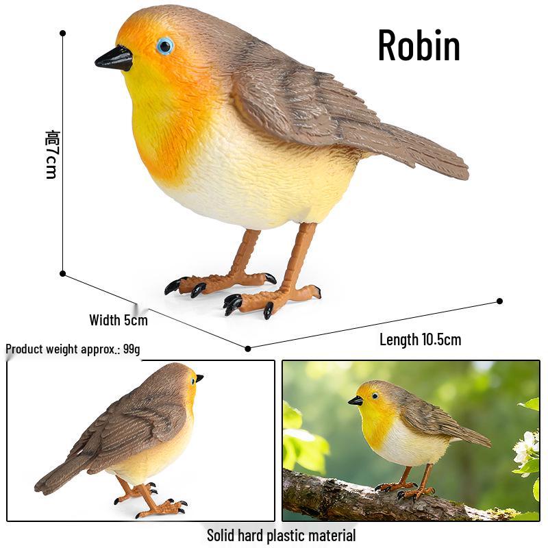 Kids' Bird Model Set: Toucan, Parrot, Ostrich, Peacock, Eagle, Pigeon, Owl.