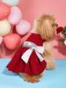 Hund TuTu Kleid für kleine Hunde Kleidung Welpe Premium Prinzessinnenkleid mit Schleife Party Hund Haustier Elegantes Kostüm Bekleidung für Hunde
