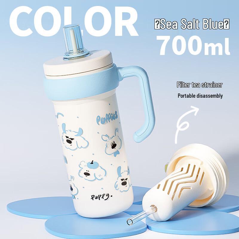 

MRSIKEY 316L Stainless Steel Insulated Straw Water Bottle