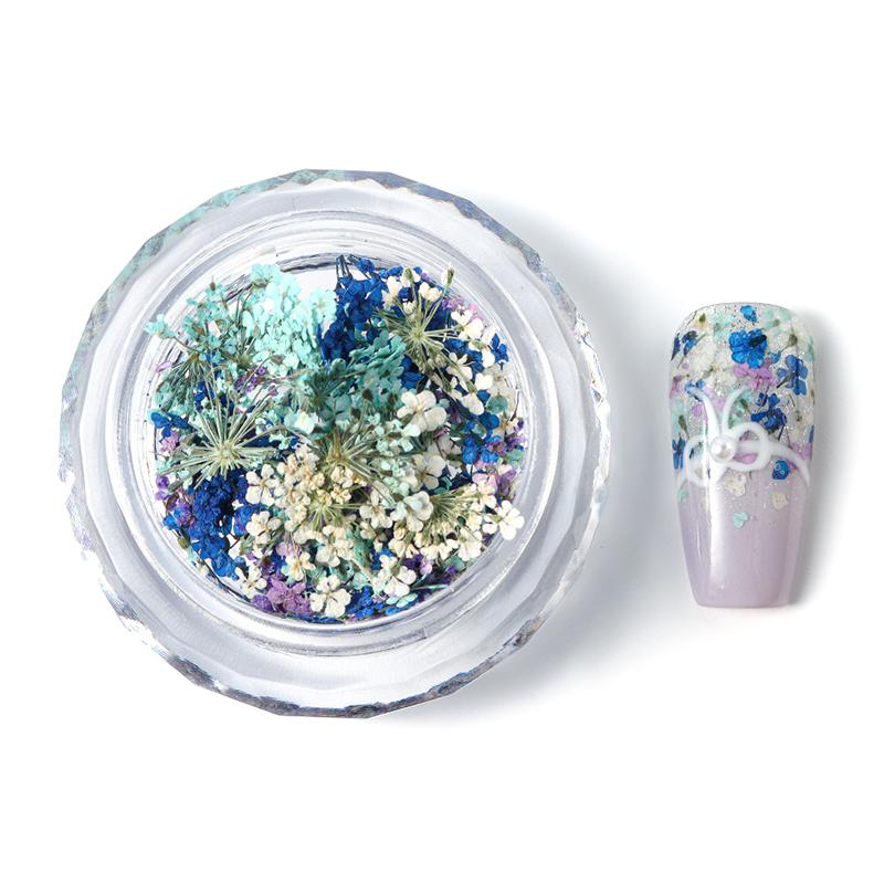 1 cutie Nail Art Decoratiuni florale Flori uscate delicate Decoratiuni Nail Art Rafinate Nail Art Frumusete pentru farmece Accesorii
