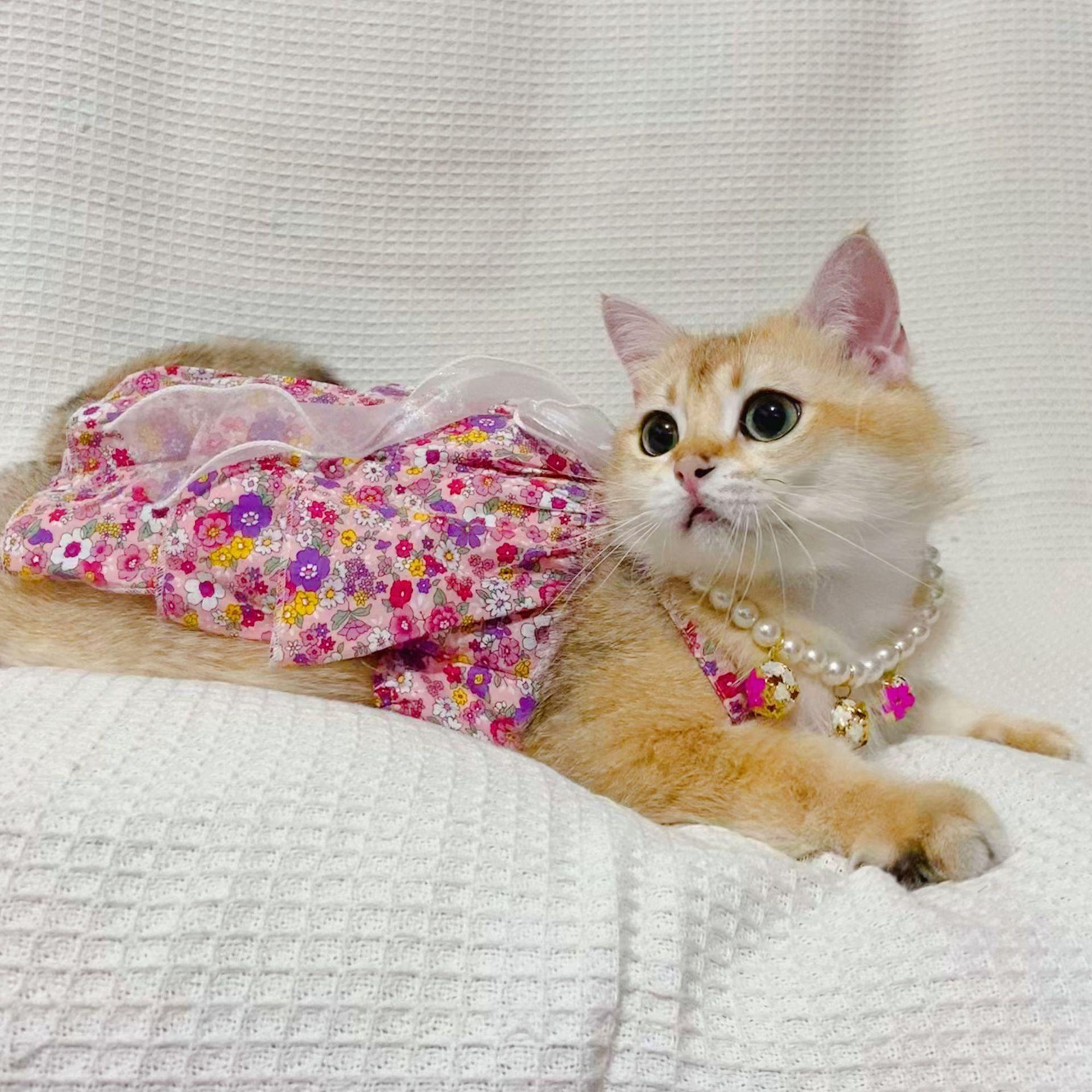 

Платья для собак и кошек, одежда принцессы, весна-лето, хлопковое кружевное платье с цветочным принтом, юбка, принадлежности для щенков 6-8KG