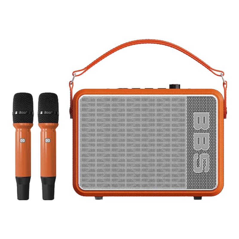 BBS P6 Portable KTV Speaker System