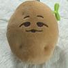Straykids Seung-min Dang Potato Sell Doll