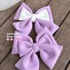 Vehicle Decoration Electric Bicycle Bowknot Universal Motorcycle Helmet Decor  Cycling