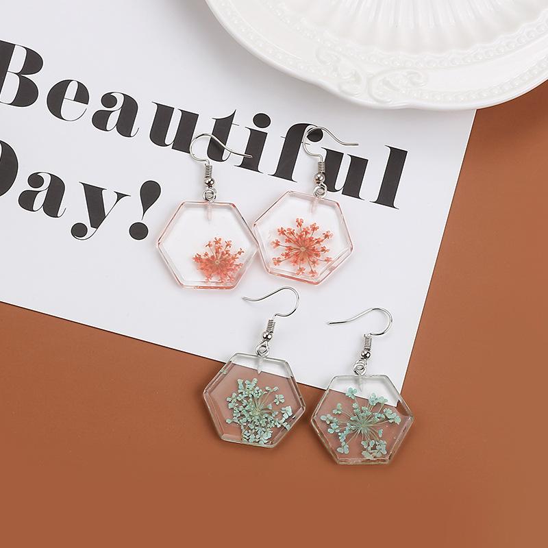 Dongdaemun Dried Flower Transparent Acrylic Geometric Resin Earrings Temperament Personalized Stud Earrings Earrings