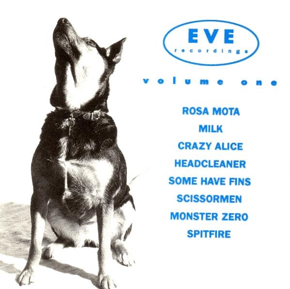 

CD VARIOUS Eve Recordings Volume One EVRCD19 EVE 1993 UK Rock Used