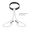 Elegant Choker with Nipple Clamps: Adult Training & Flirting Toy for Couples