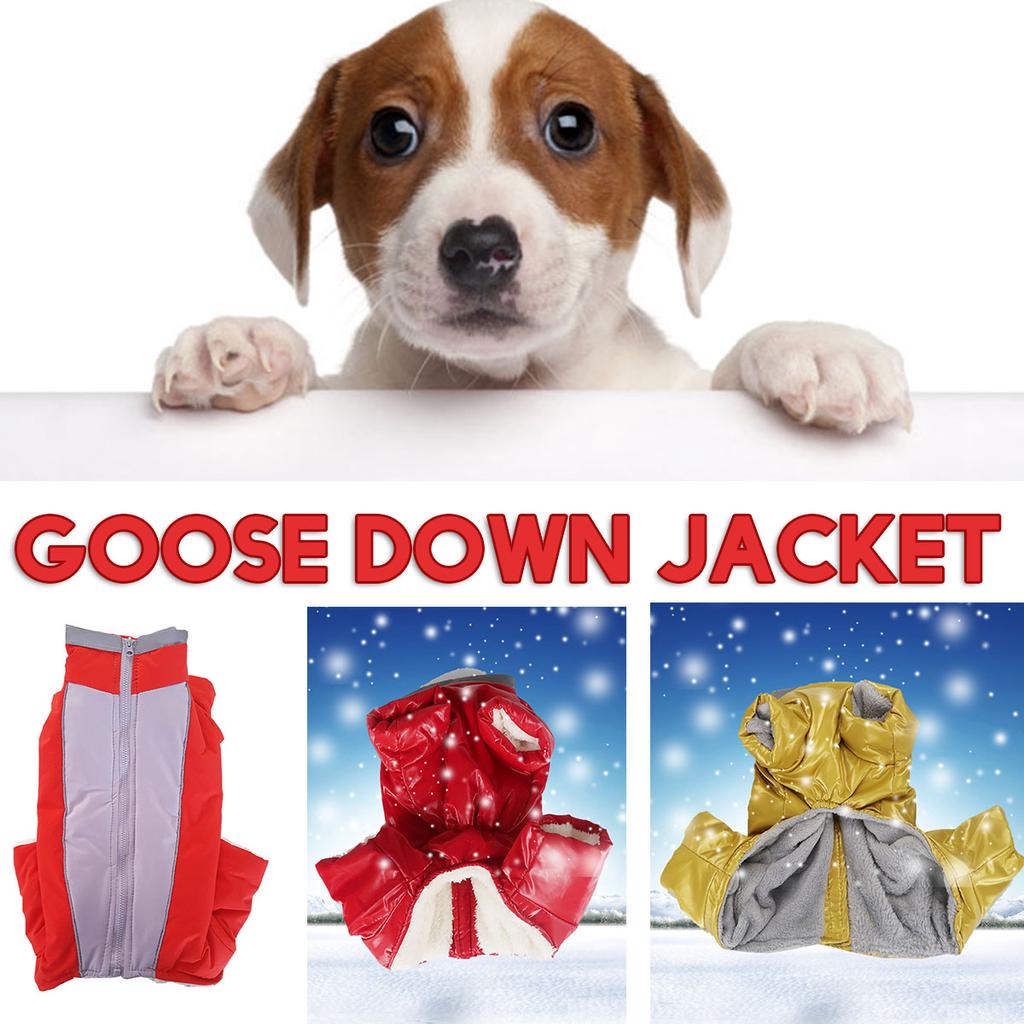goose down dog jacket