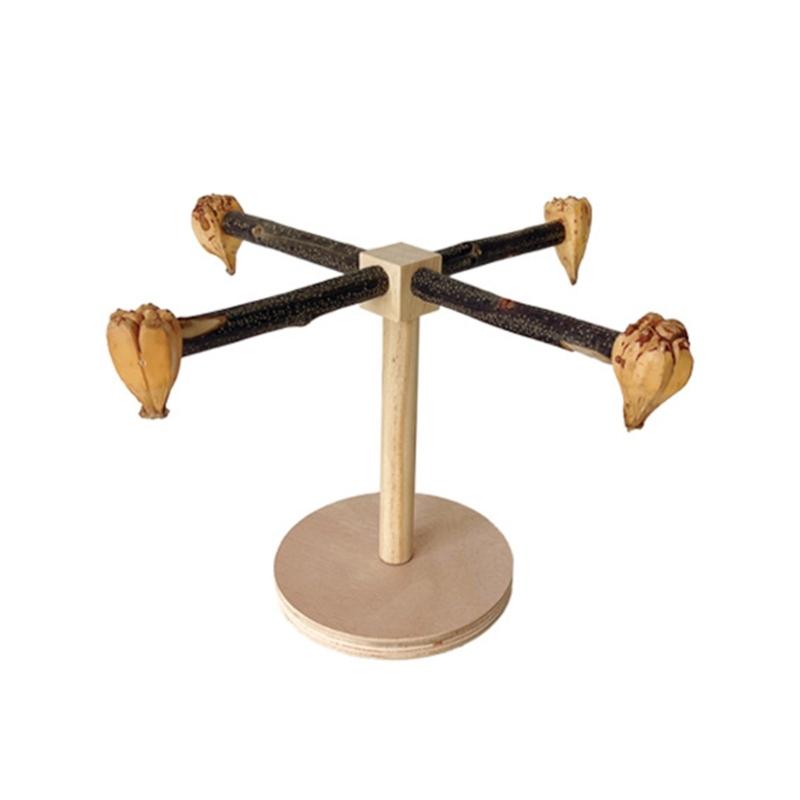 Suport rotativ molar din lemn pentru păsări, pentru papagali conuri, accesorii pentru perusi, scărpătoare pentru papagali mici și mijlocii