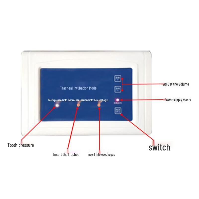 Tracheal Intubation Mannequin with Electronic Display