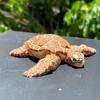 3D Printed Articulated Turtle Figurine Indoor And Outdoor Desktop Decoration Aquarium Landscaping Decor