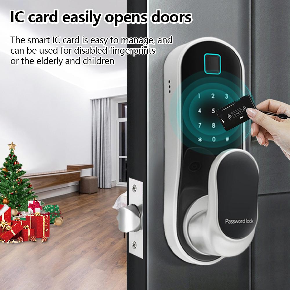 Intelligentes Türschloss Keyless Entry Türschloss Griff mit 2 Karten und 2 Schlüsseln Biometrisches Türschloss App